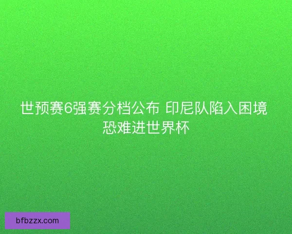 世预赛6强赛分档公布 印尼队陷入困境 恐难进世界杯