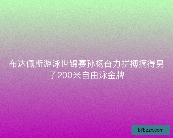 布达佩斯游泳世锦赛孙杨奋力拼搏摘得男子200米自由泳金牌